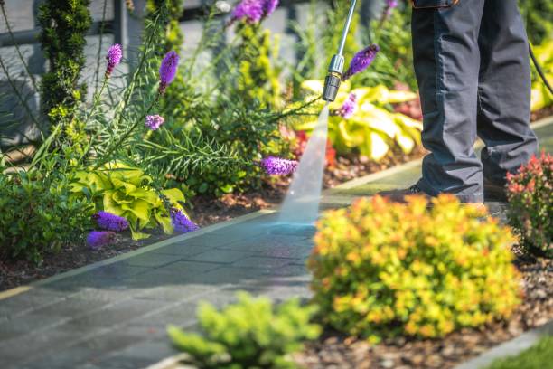 Best Winterizing Services  in Marmet, WV