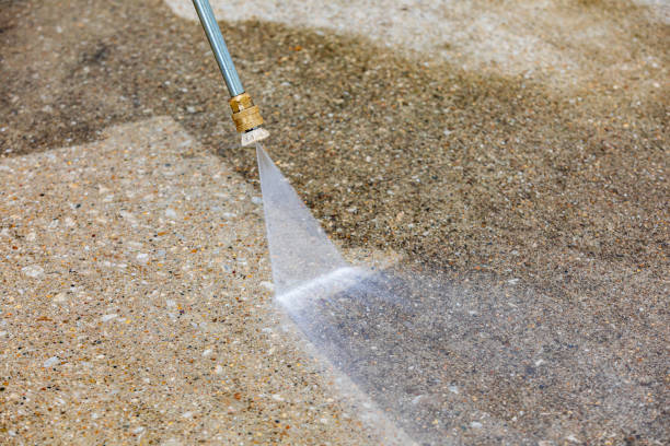 Best Animal Enclosure Cleaning  in Marmet, WV